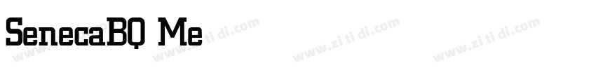 SenecaBQ Medium字体转换